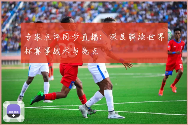 专家点评同步直播:深度解读世界杯赛事战术与亮点