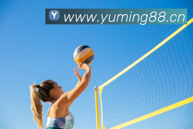 完美体育唯一官网APP 高清赛事图